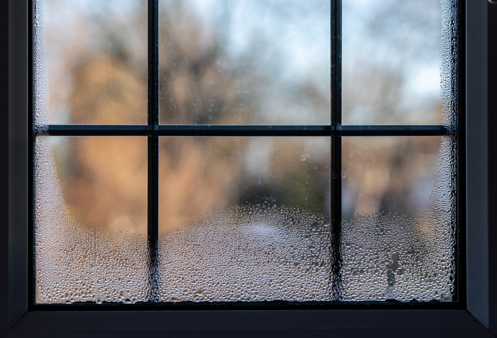 How Can You Tell if Your Double-Pane Window Seal Has Failed?